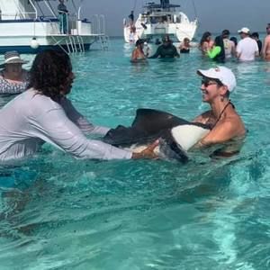 Meet your Posher, Dee